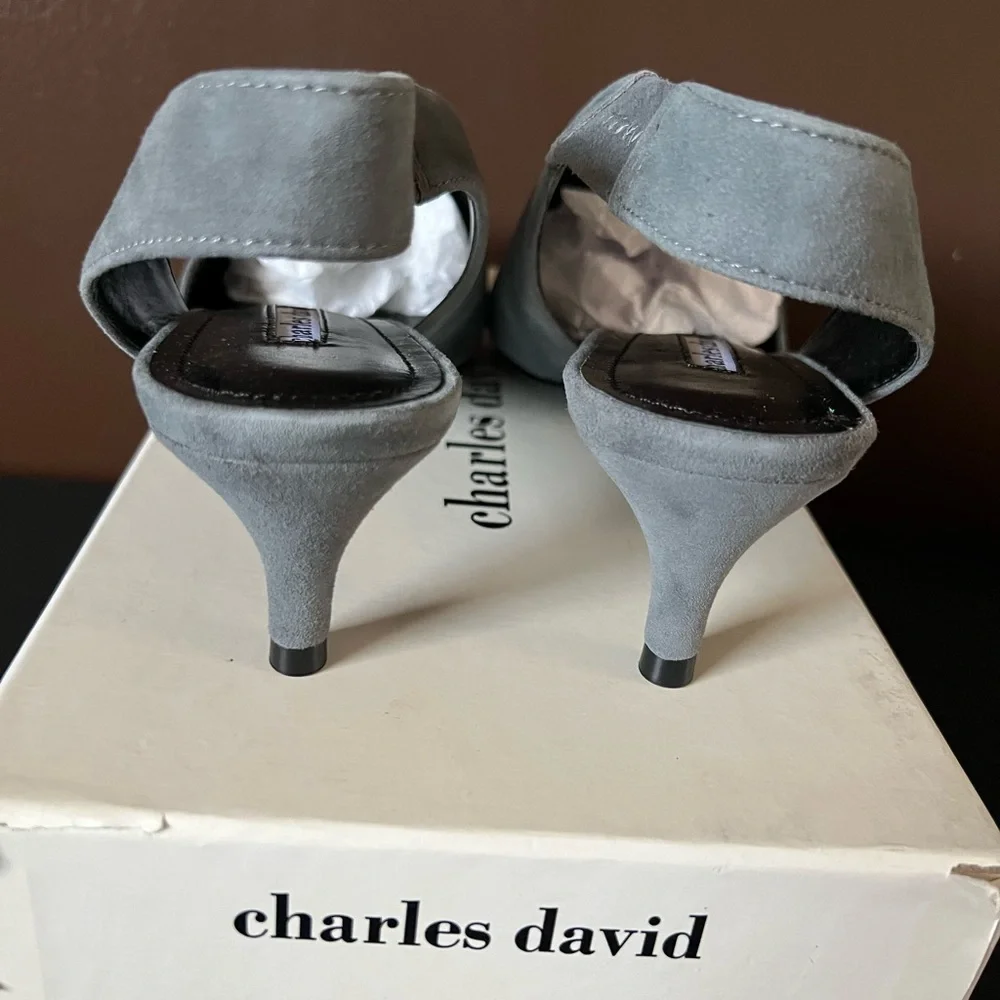Charles David Women's Picasso Pump Sz 9 M
